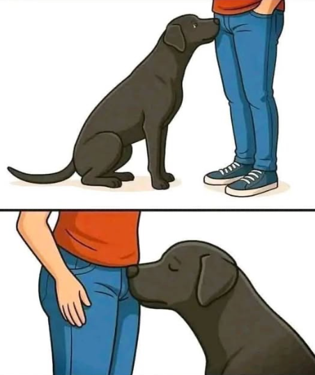 Did you know that if a dog smells your parts it’s po…See more