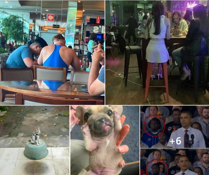 30 Tricky And Confused Photos That Will Make You Look Twice